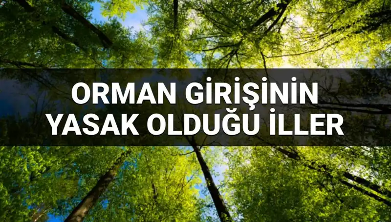2025 Yılında Ormana Girmek Yasaklanan İller Açıklandı!