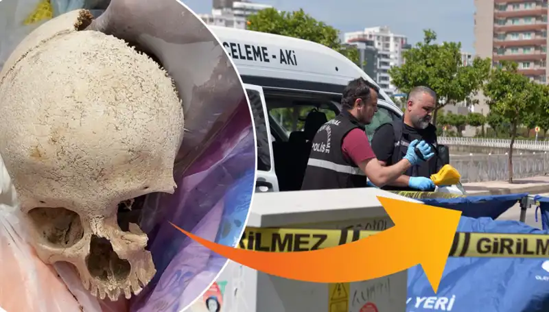 Çöp Alanında Bulunan Kafatası Gerçeği: Uzman Doktor Gözaltında!