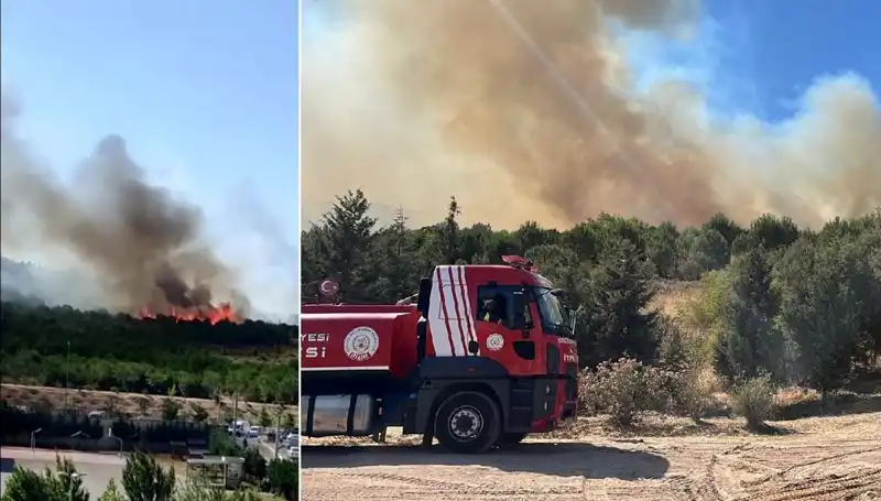 Gebze'de Korkutan Orman Yangını: Hızla Büyüyen Alevler Ne Kadar Kontrol Altına Alındı?