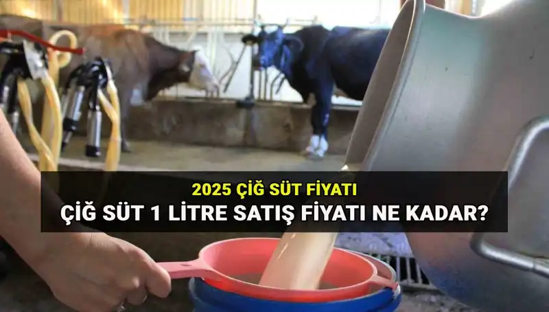 Çiğ Süt Fiyatı 2025: Ulusal Süt Konseyi'nden Yeni Veriler Geldi