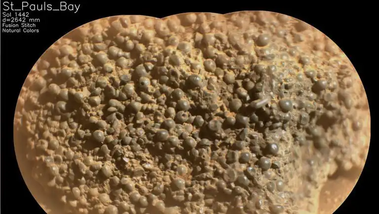 Mars'ta Şaşırtıcı Keşif: Gizemli "Örümcek Yumurtaları" Bulundu!