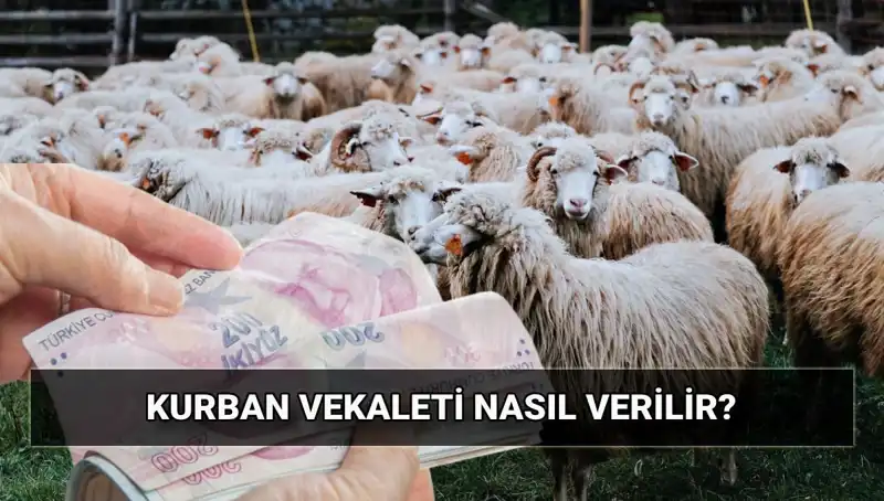 Vekaletle Kurban Kesimi Hakkında Bilmeniz Gerekenler ve Diyanet'in 2025 Ücretleri
