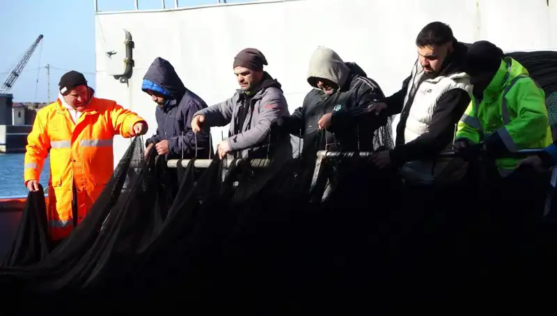 Denizlerde Hamsi Krizi: Balıkçılar Tekneleri Hızla Terk Ediyor!